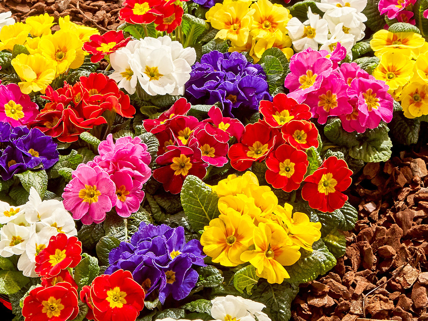 Front Garden Ideas & Inspiration Love The Garden