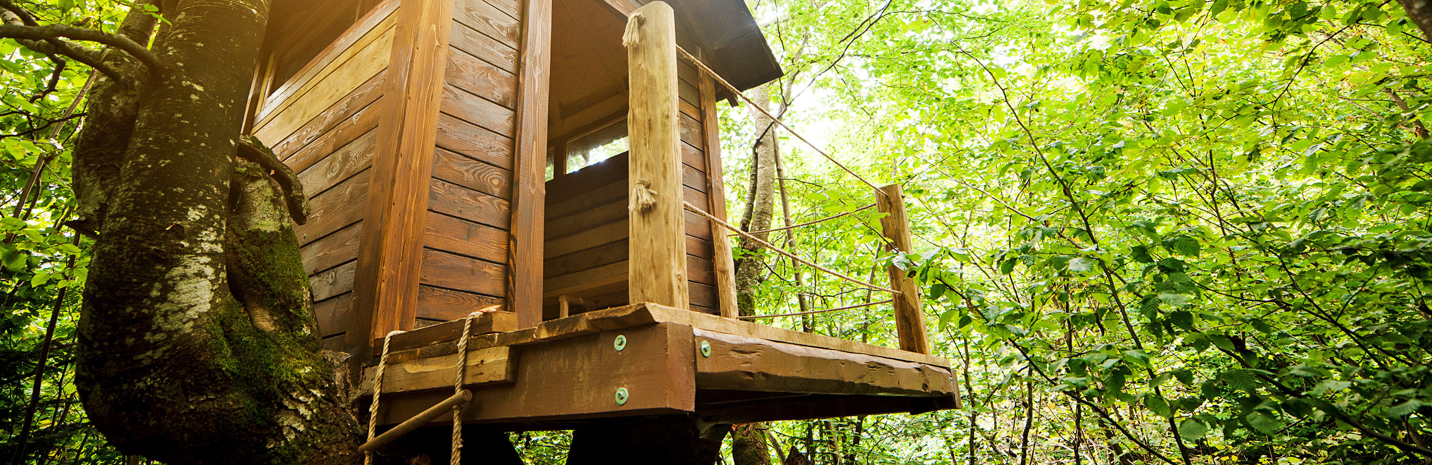 Une Cabane Dans Les Arbres