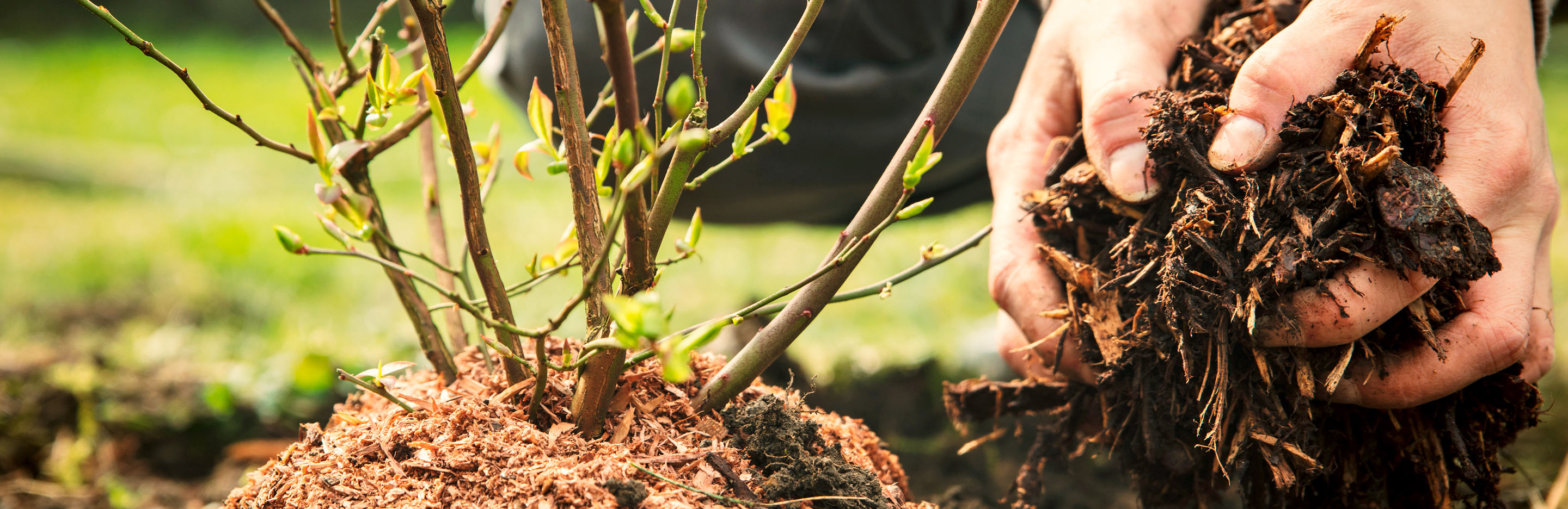How to re-use compost bags and planters