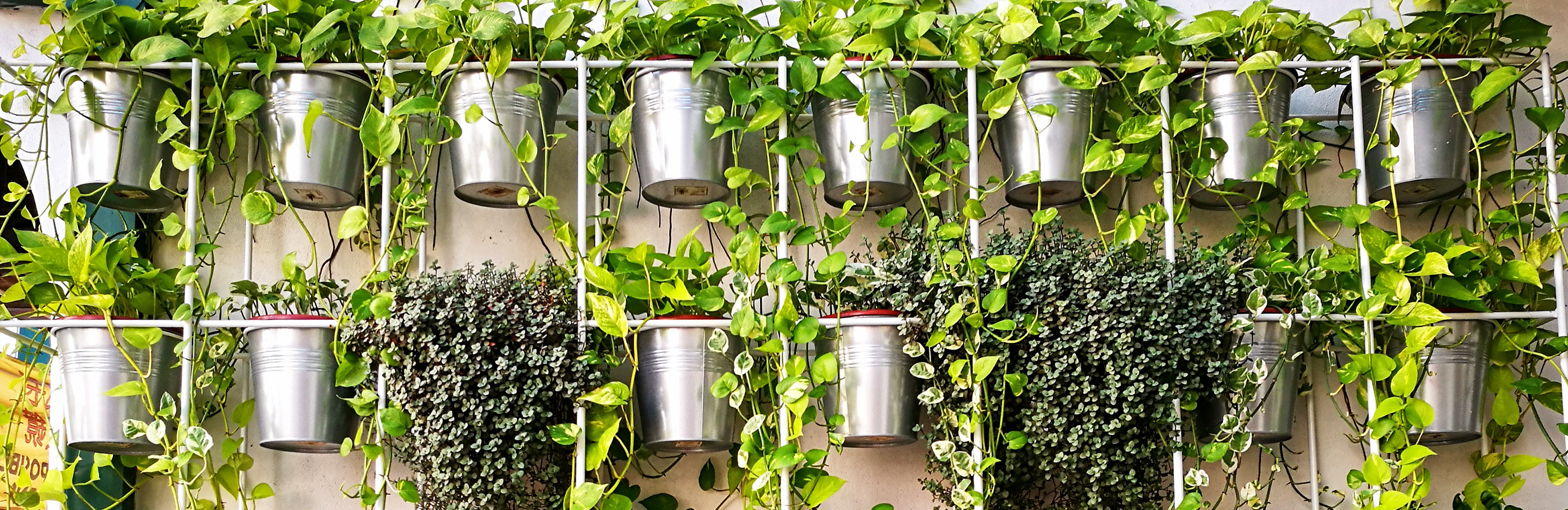 Vertical gardening ideas