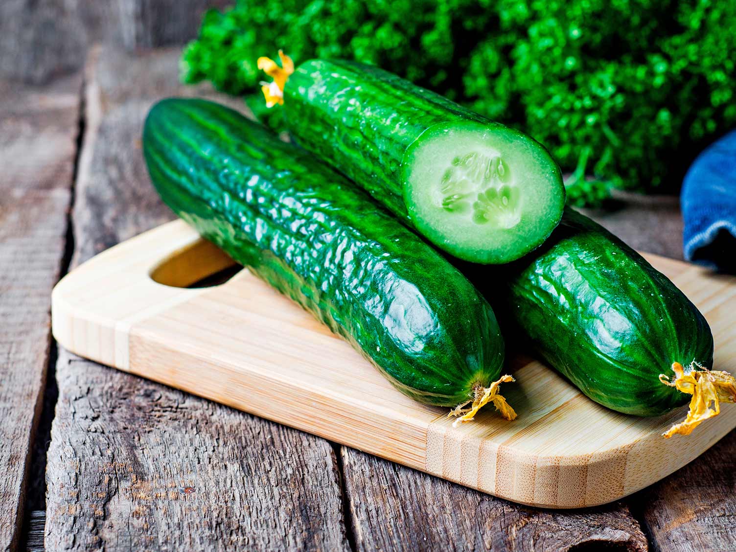  How to grow and care for cucumbers