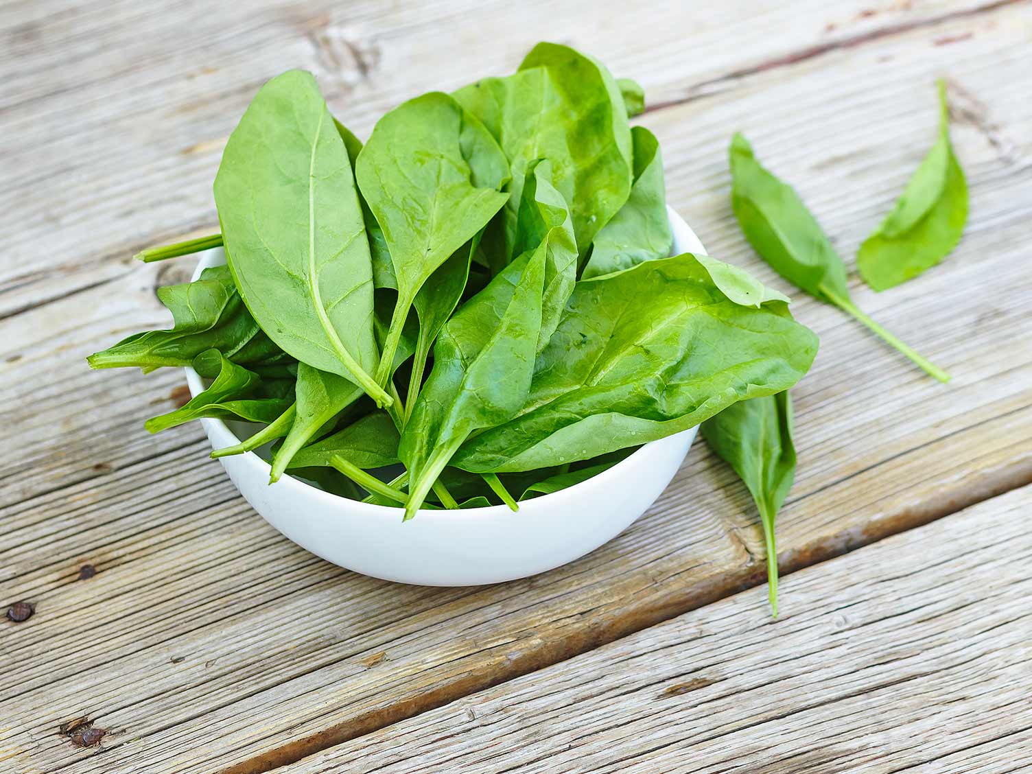 Fresh spinach leaves