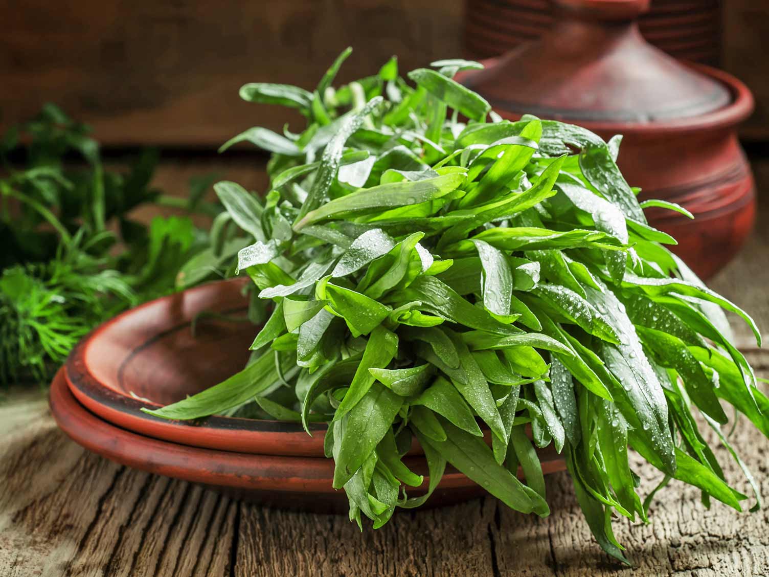 How to grow and care for tarragon | Love The Garden