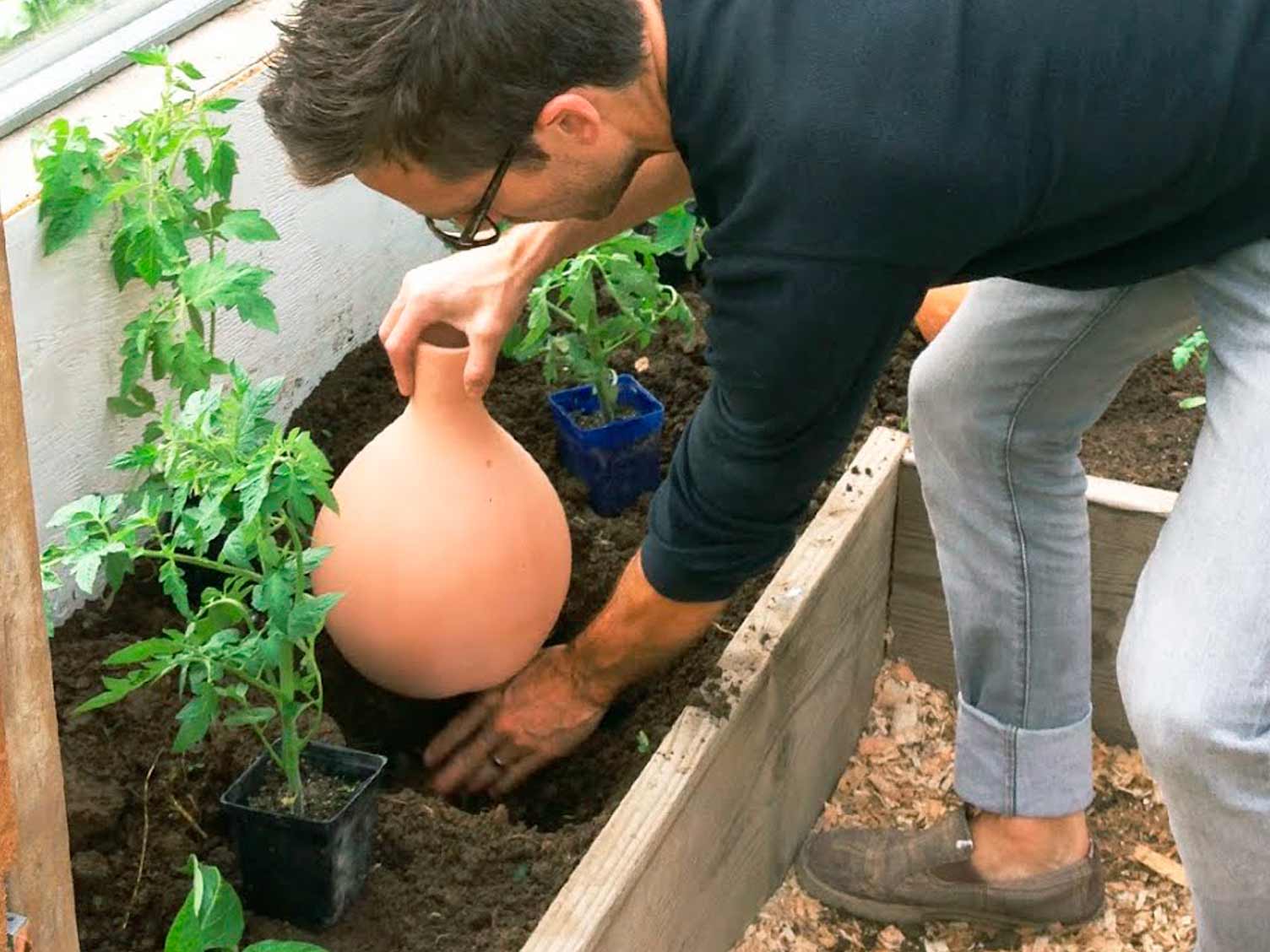 UK_gadgets-10-oya-pots.jpg Oya pots in the garden