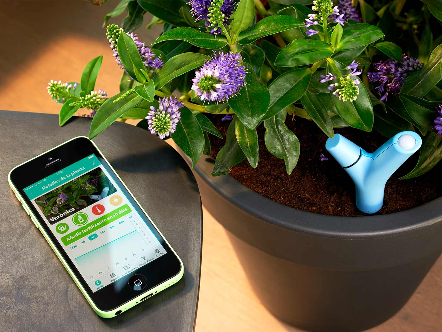 UK_gadgets-13-parrots-flower-power.jpg Parrot’s Flower Power in use