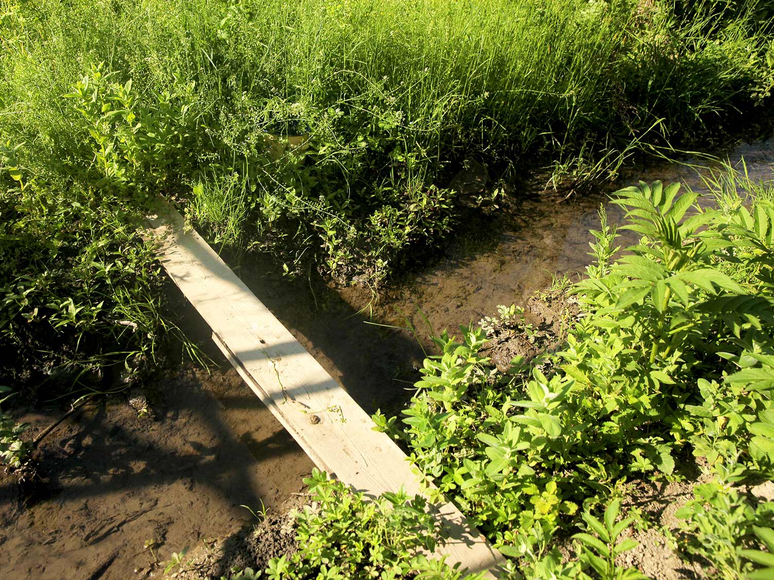 UK_garden-swale-ditch.jpg Garden swale (ditch)