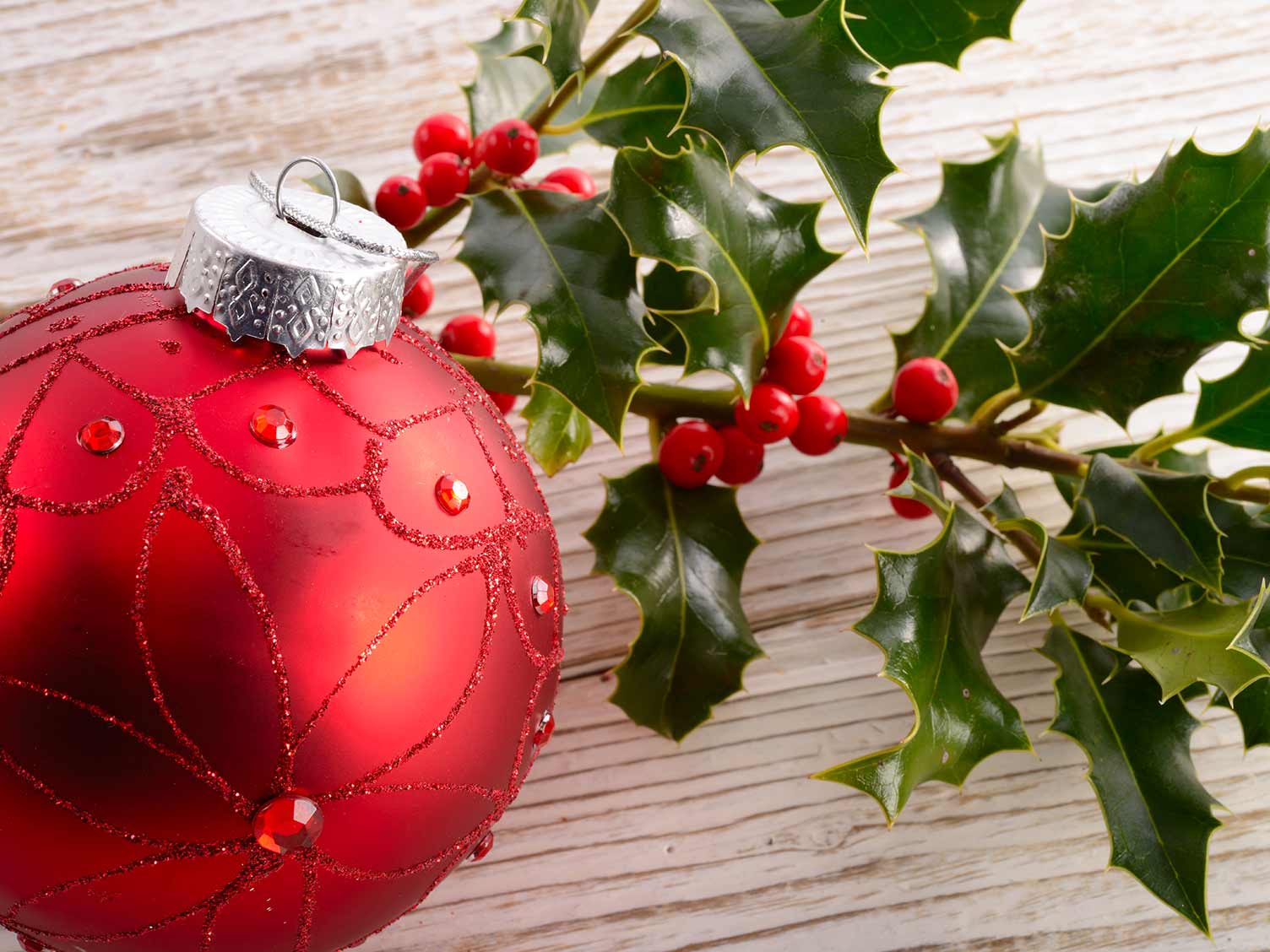 UK_holly-at-christmas.jpg Holly is a popular symbol of Christmas