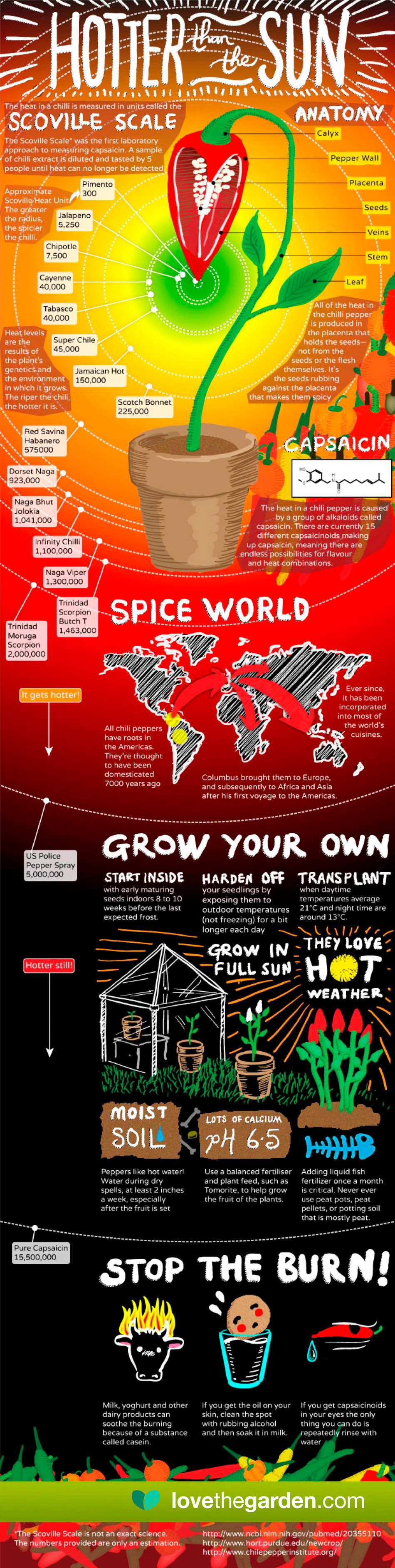 UK_infographic-chilli-hotter-than-the-sun_0.jpg Hotter than the sun infographic