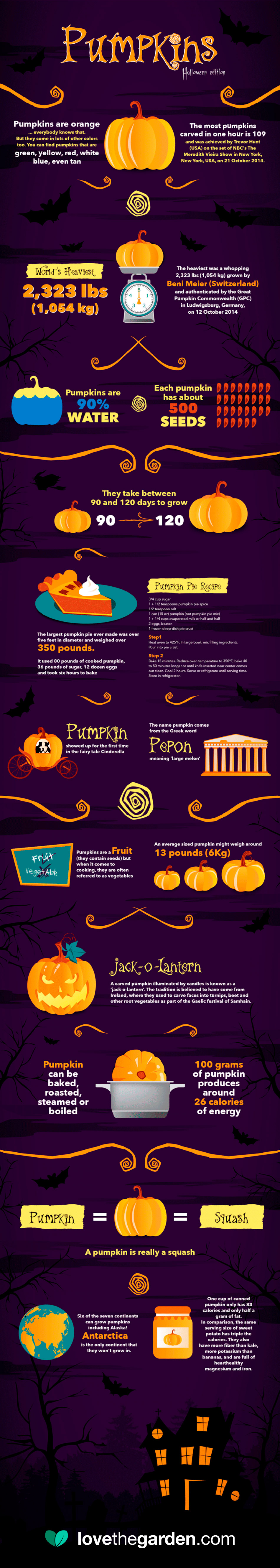 UK_infographic-halloween-pumpkins.jpg Pumpkins infographic