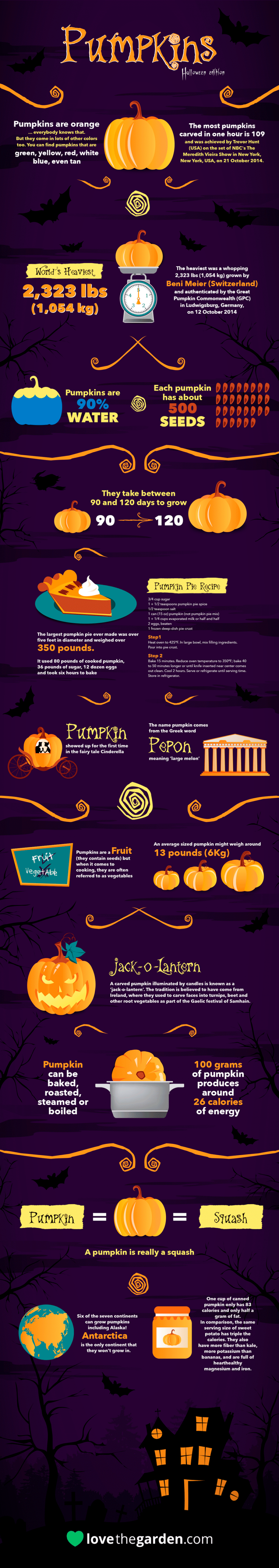 Crazy Facts About Halloween Pumpkins Love The Garden