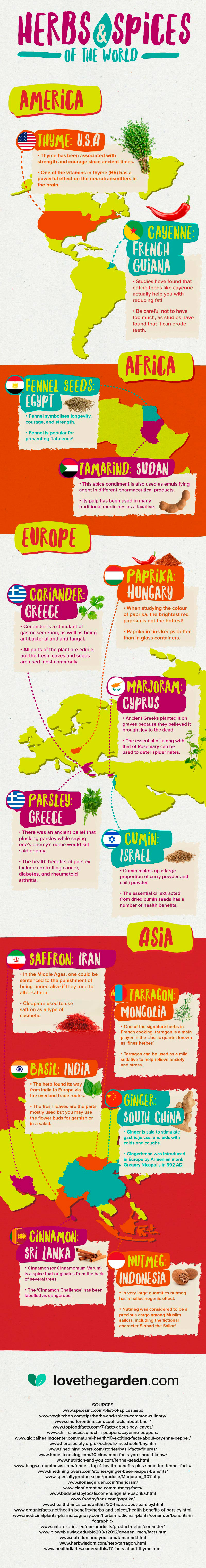 Herb and spice world map infographic