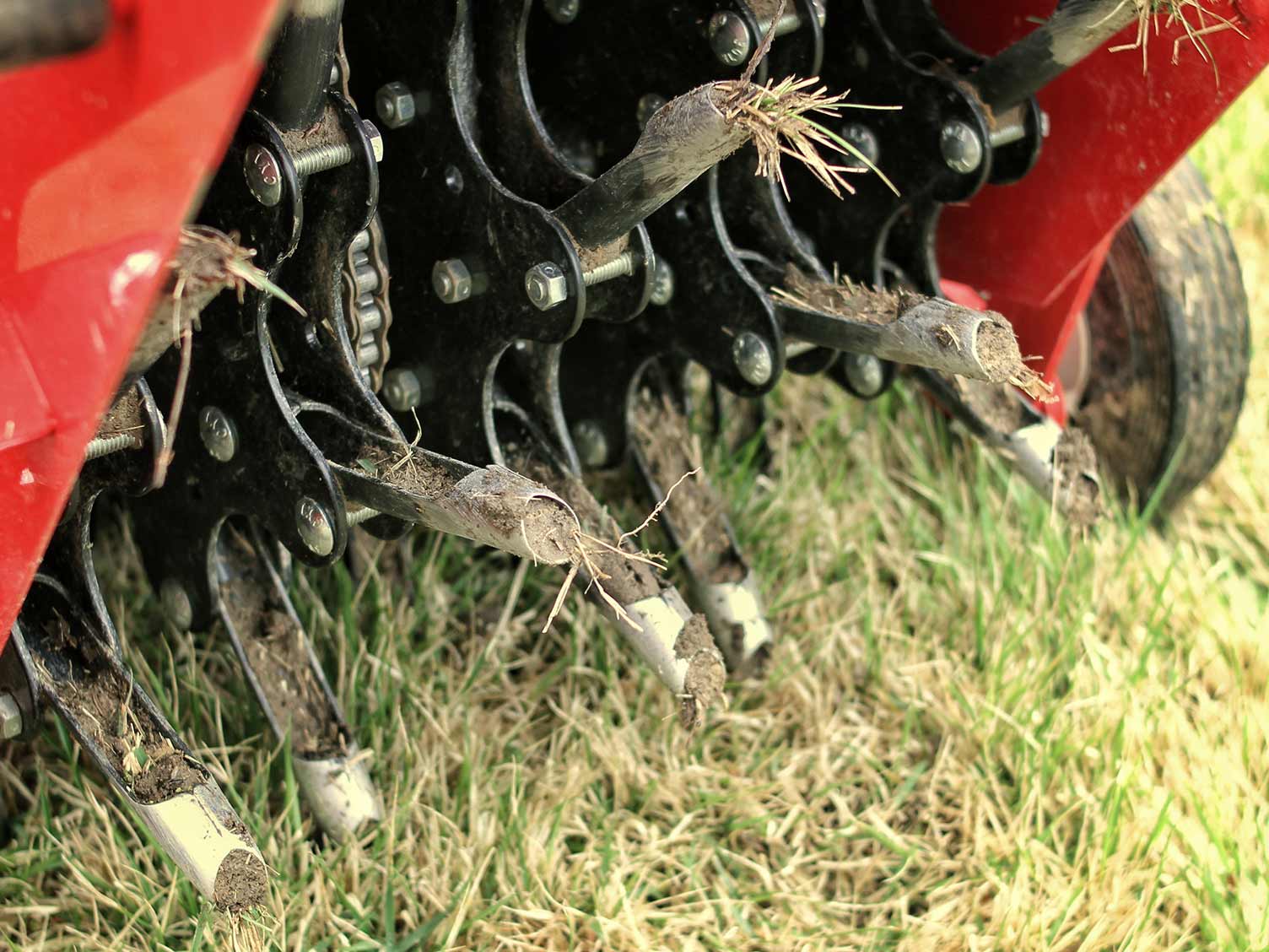 UK_lawn-aeration-machine-closeup.jpg Lawn aeration machine closeup