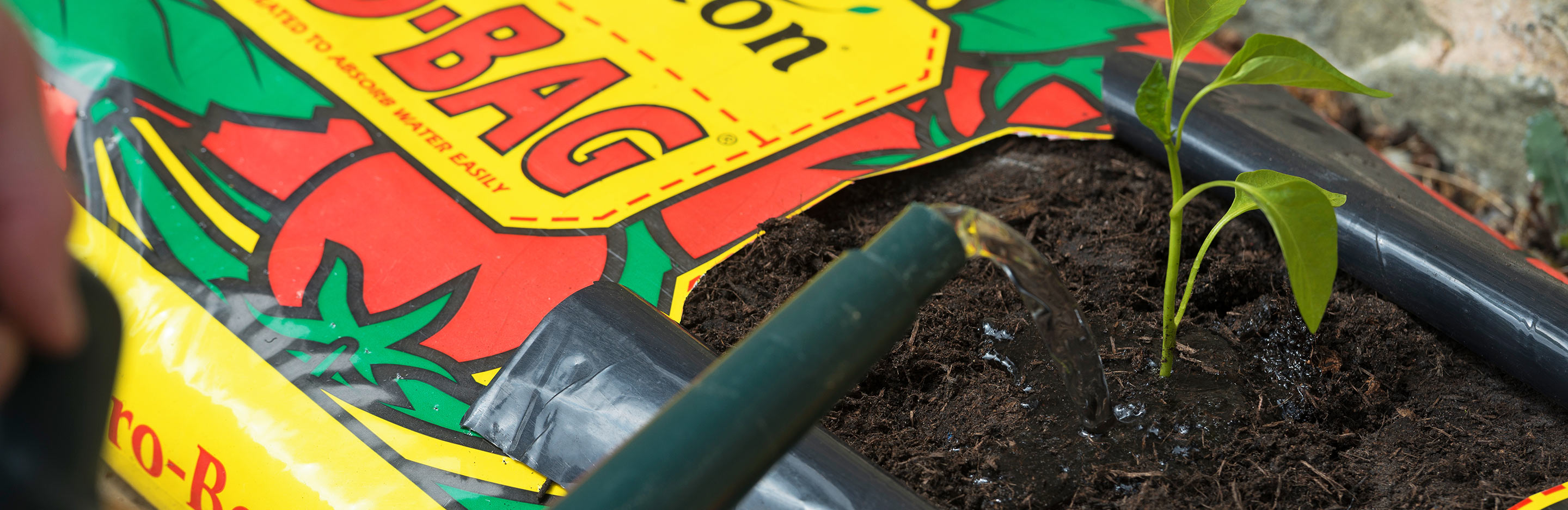 How and what to grow - gro-bags, gro-sacs and planters