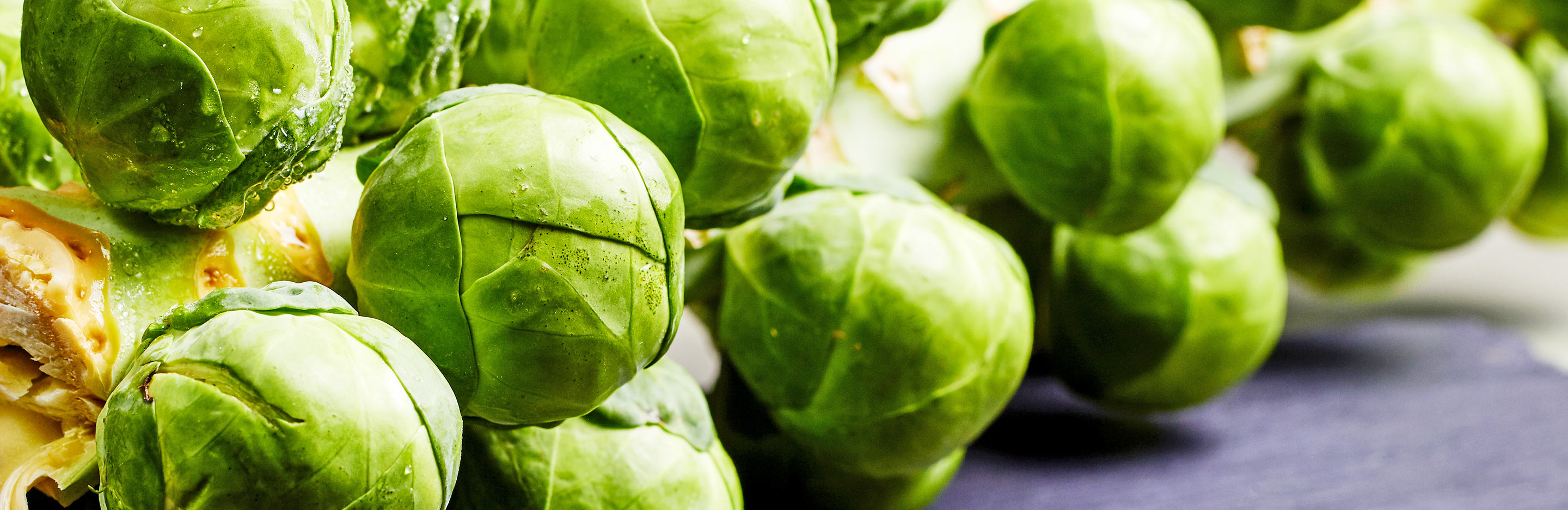 How to grow Brussel Sprouts