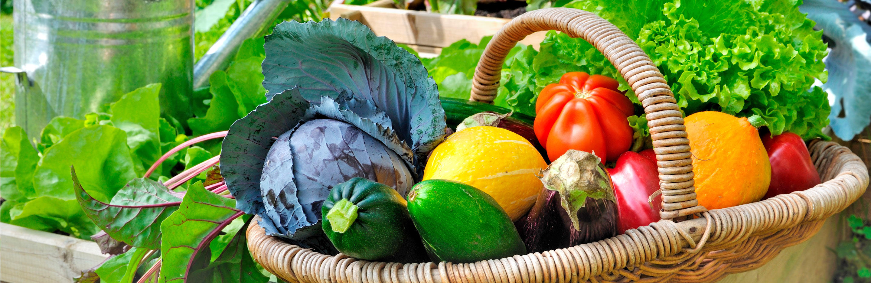 Why use organic and natural pesticides?