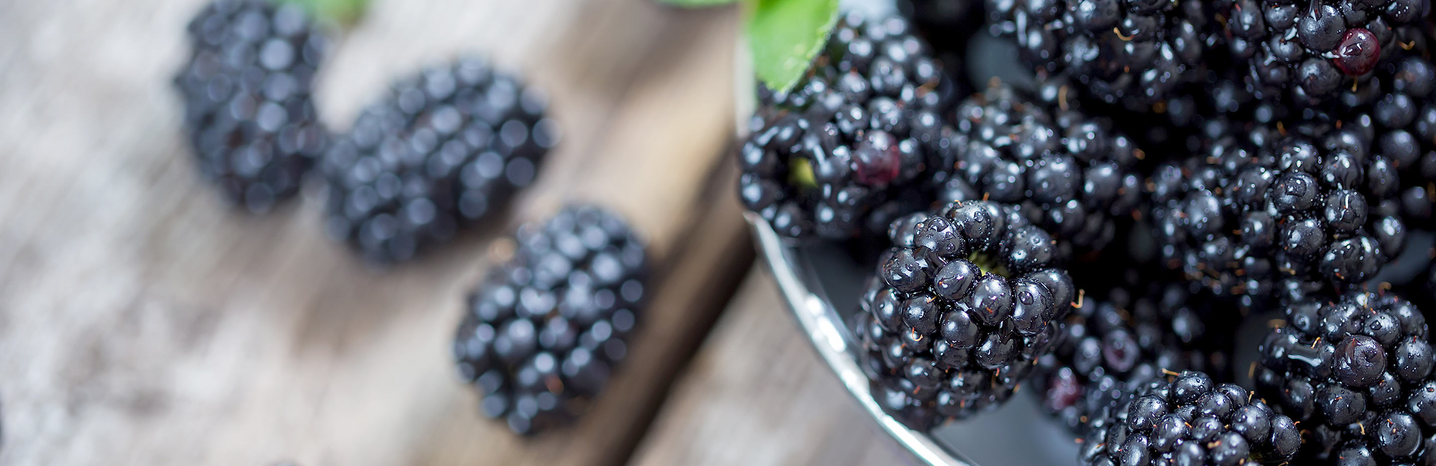 Blackberries (Rubus)