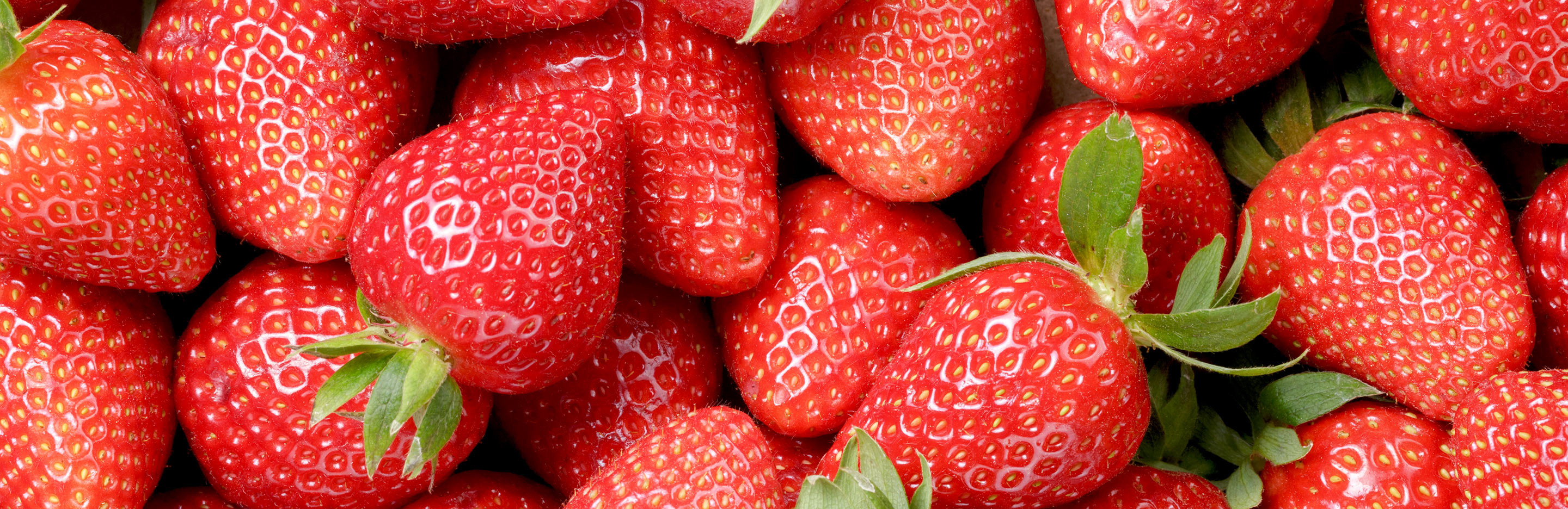 Fruitiers Et Petits Fruits