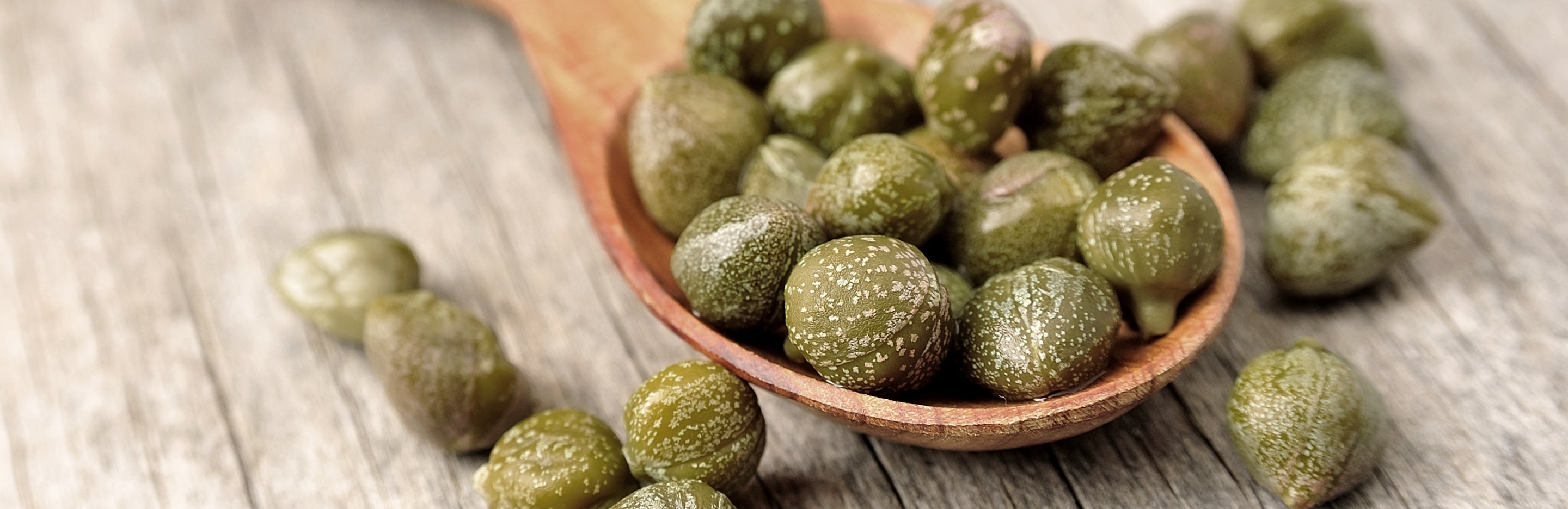 Capers (Capparis Spinosa)