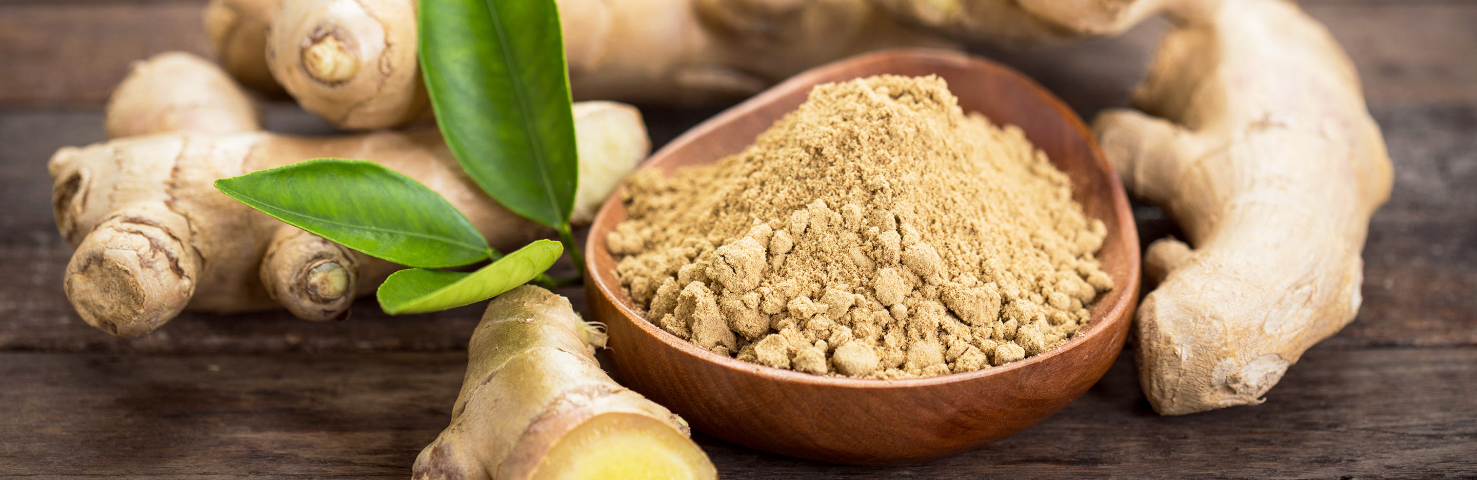 Common Ginger, Root Ginger (Zingiber Officinale)
