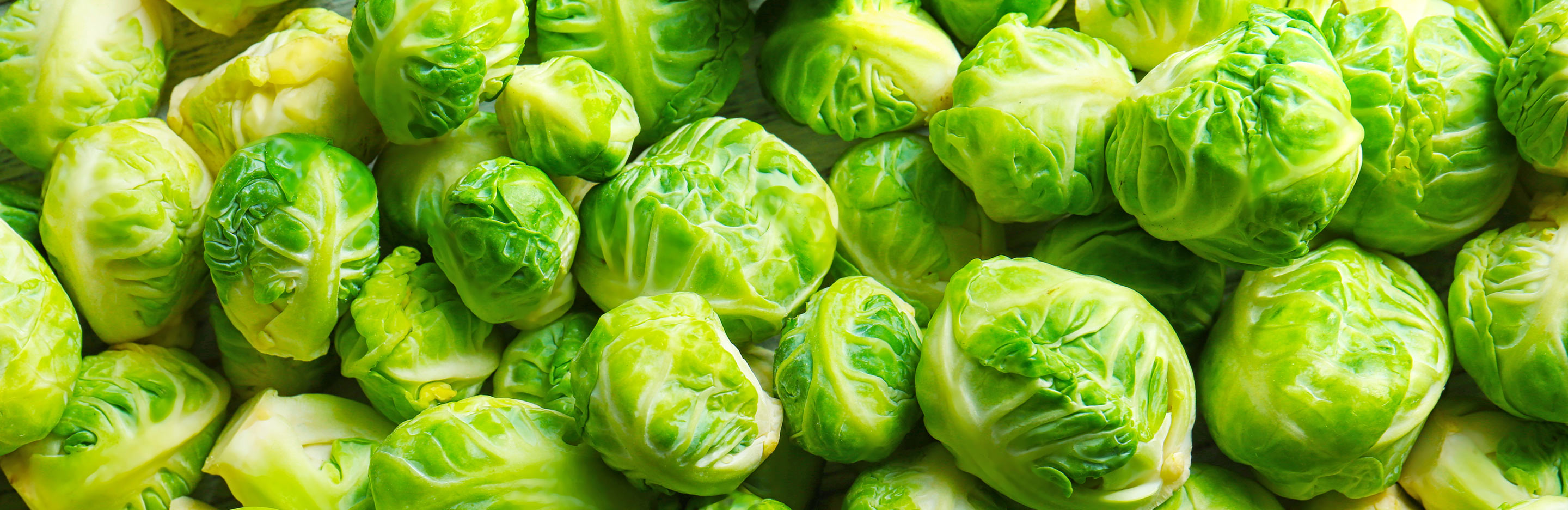Brussels Sprouts (Brassica oleracea)