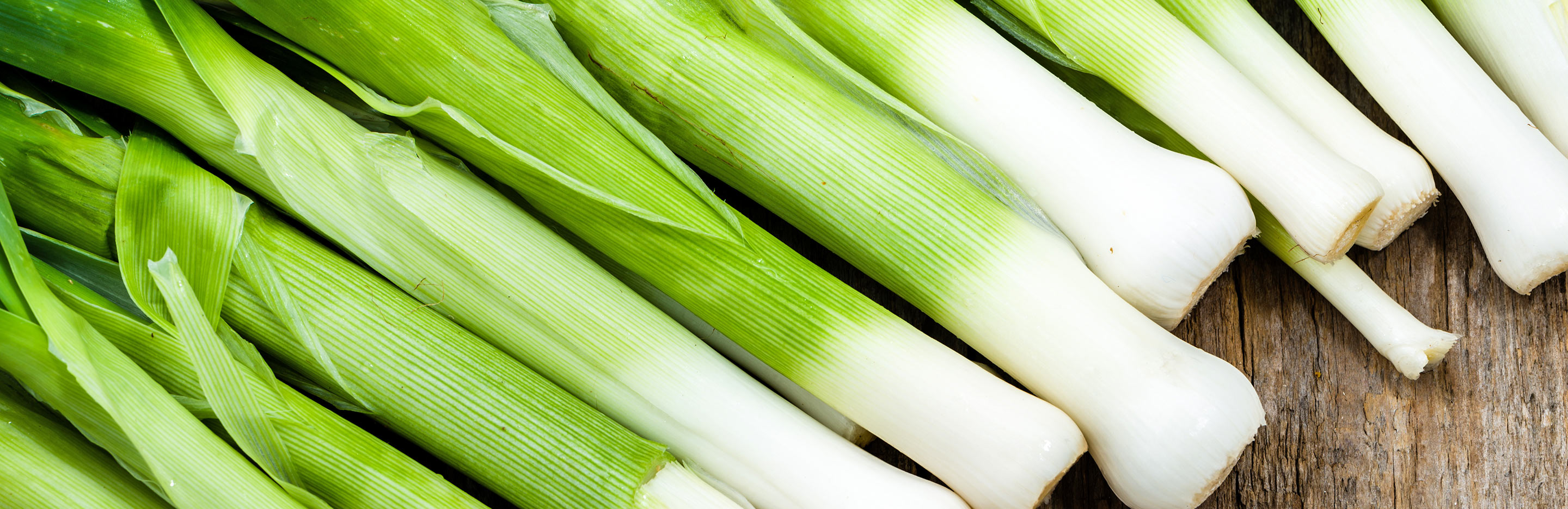 Leeks (Allium ampeloprasum)