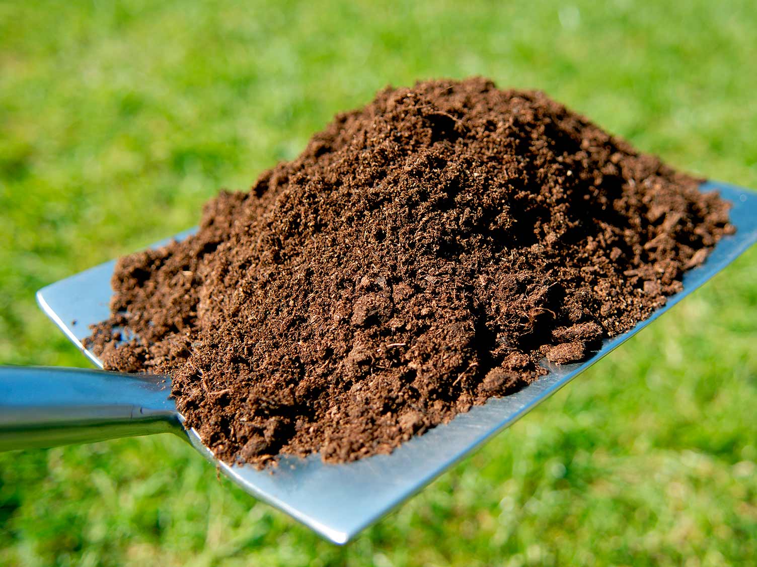  Top dressing a lawn: how and why