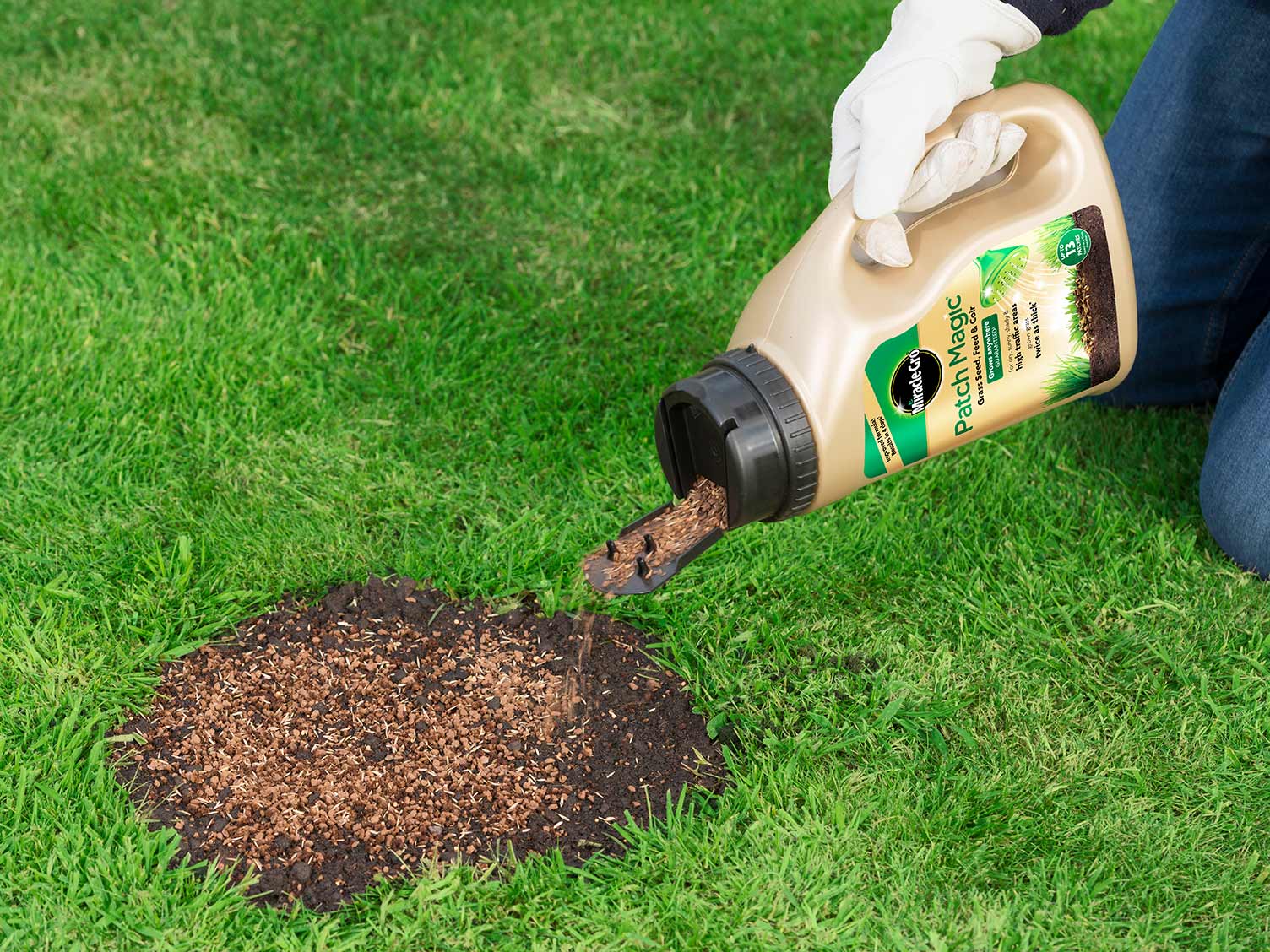 UK_repairing-bare-lawn-patches.jpg Repairing bare patches in a lawn
