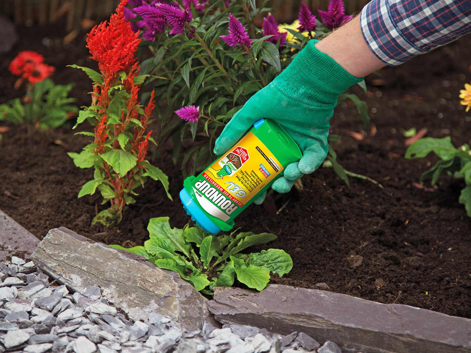 How to prevent weeds growing in flower beds