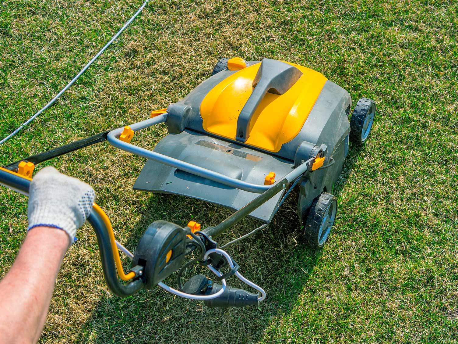  What a lawn scarifier is, and how to use it