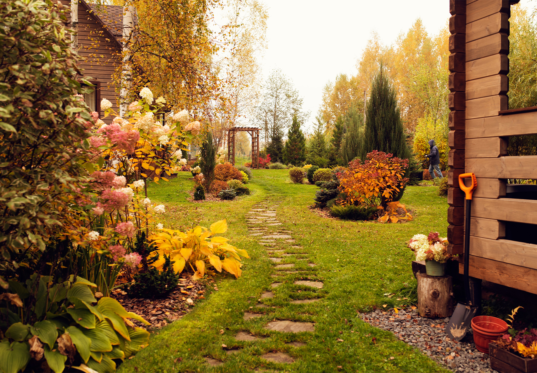 Un jardin d'automne pour 100€