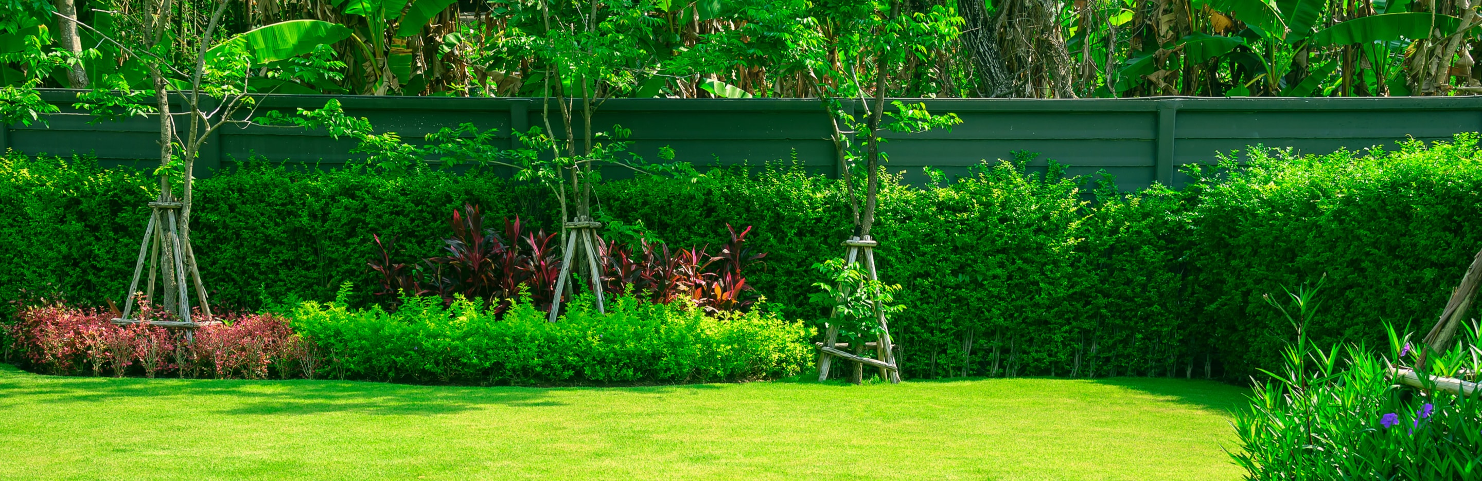 Zielony ogród z gęstym trawnikiem