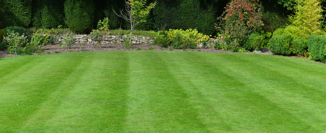 Alles wat je moet weten – Geweldig gazon - I Love My Garden