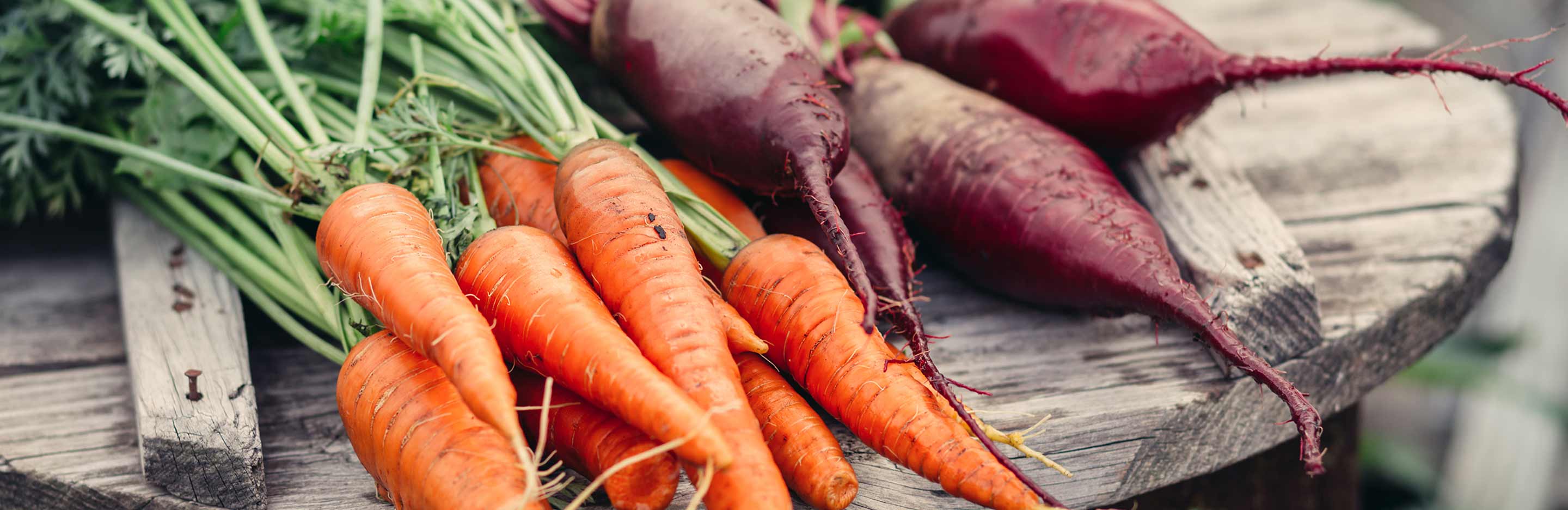 August planting and harvesting guide