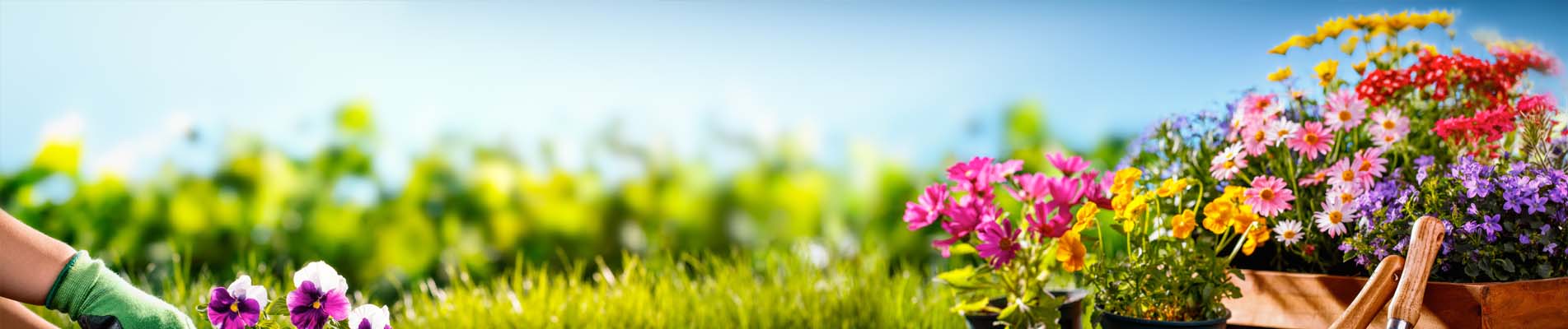 Bloemen in mandjes op een groen gazon