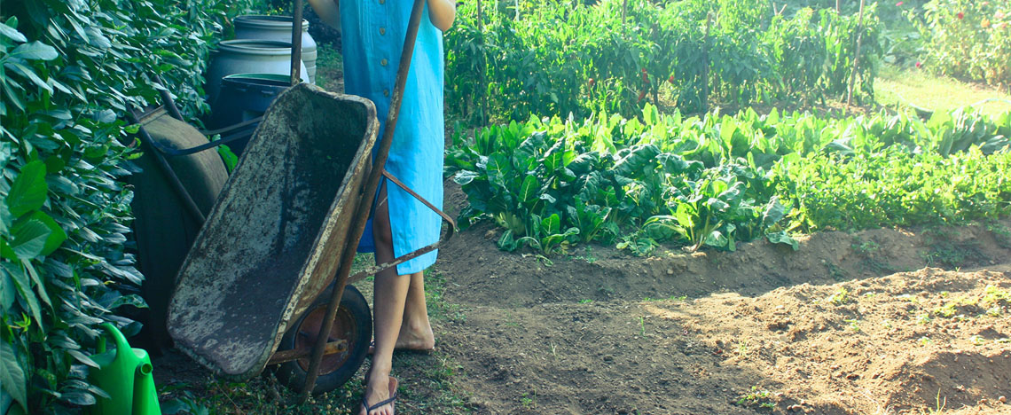 Bodem verbeteren met bodemverbeteraars - Love The Garden