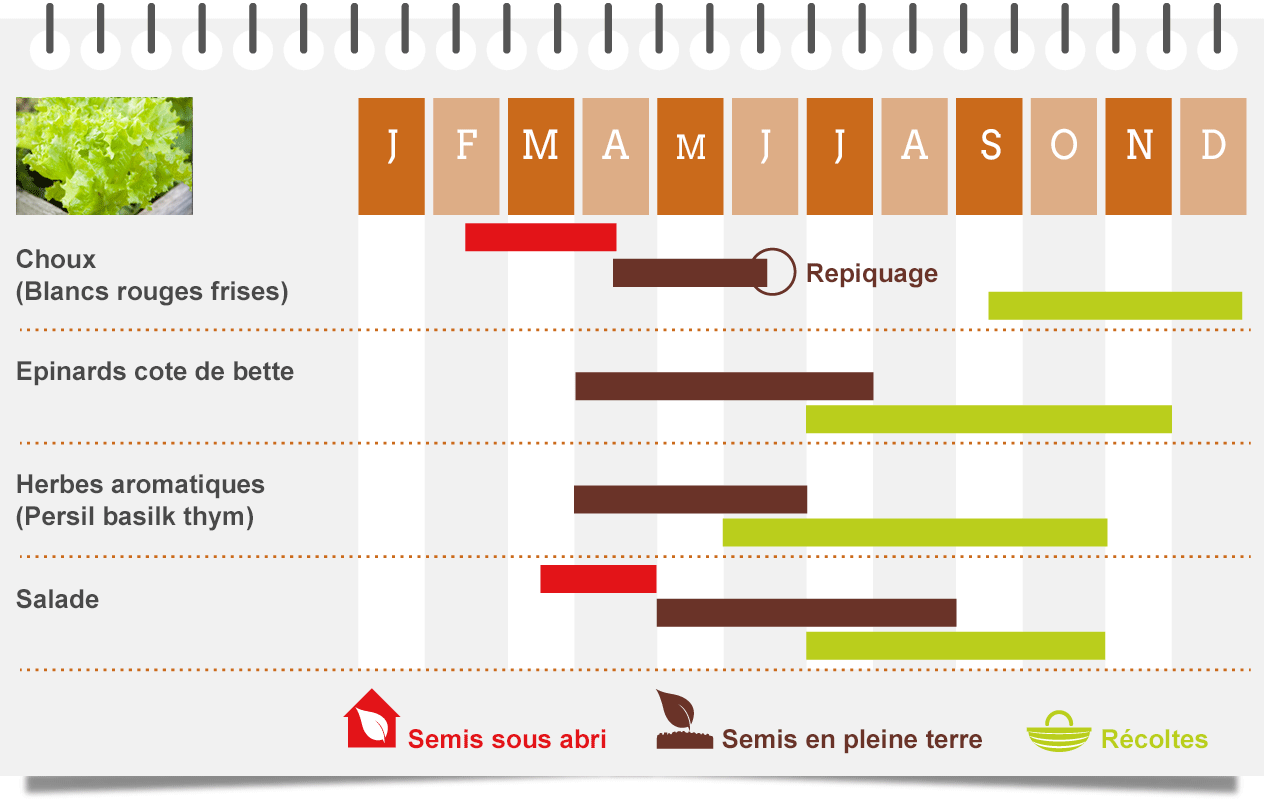 calendrie-les-legumes-feuilles.png null