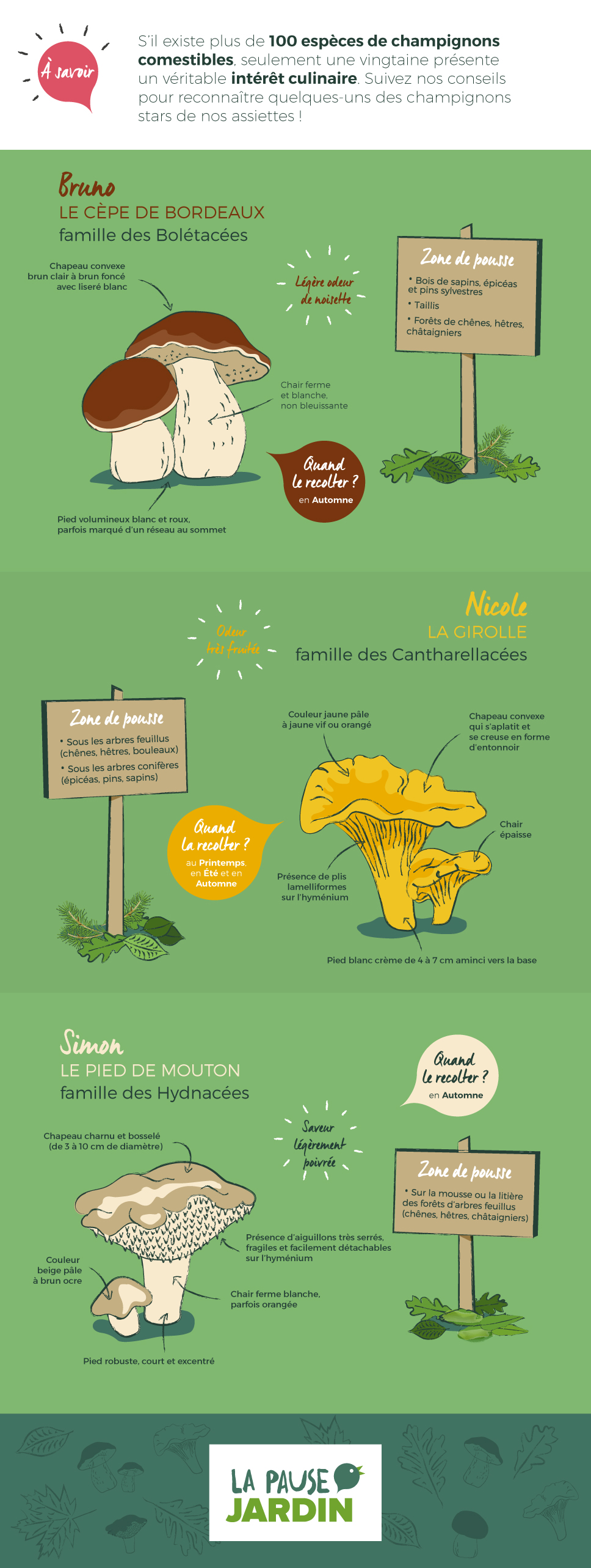 champignons-comestibles.jpg null