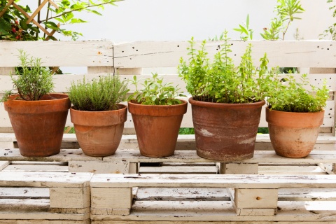 creer-terrasse-palette.jpg null
