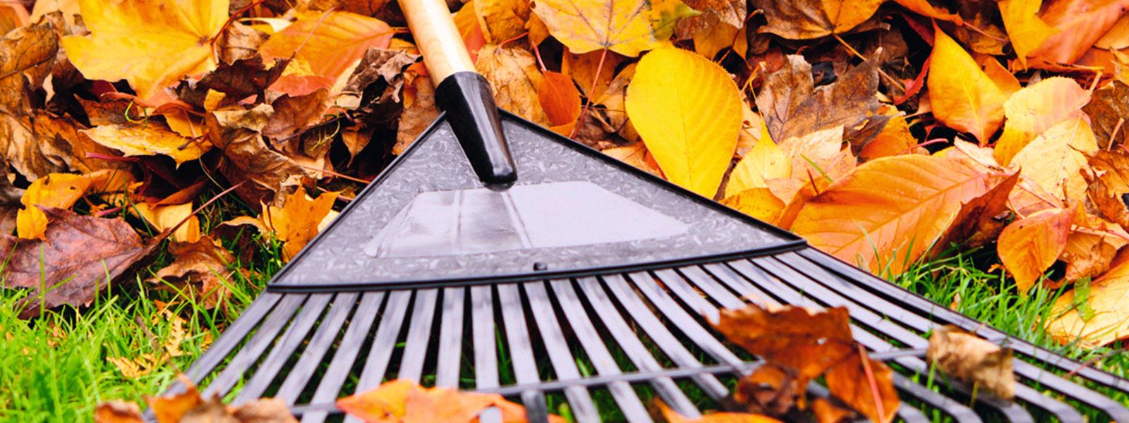 Plænepleje om efteråret
