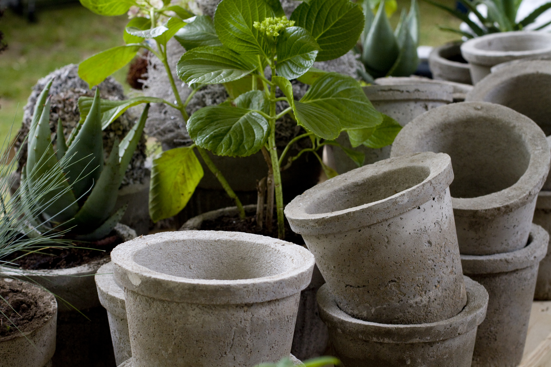 Scotts Osmocote Professional Multi Purpose Potting Mix