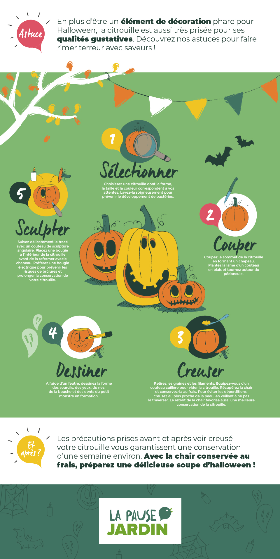 etapes-pour-creuser-citrouilles-halloween.jpg null