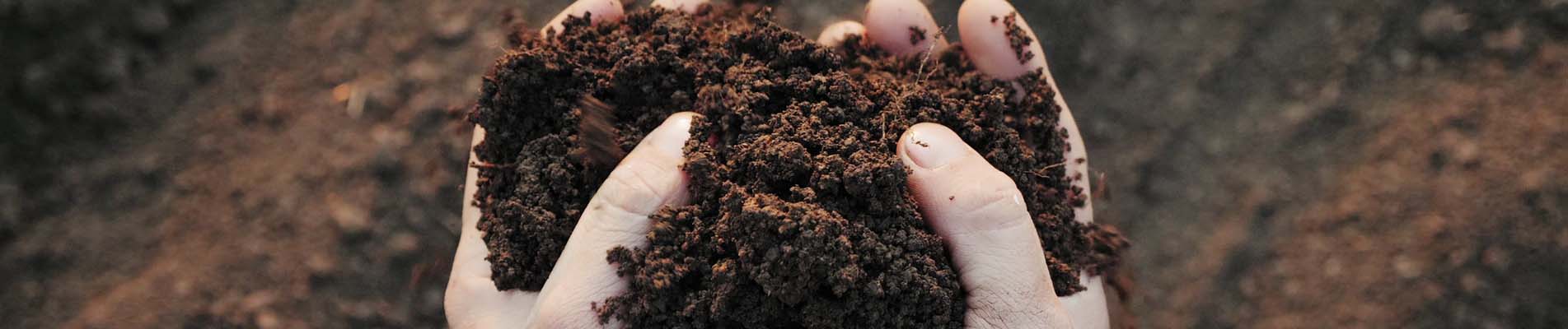 Duurzame productontwikkeling - een hand met potgrond