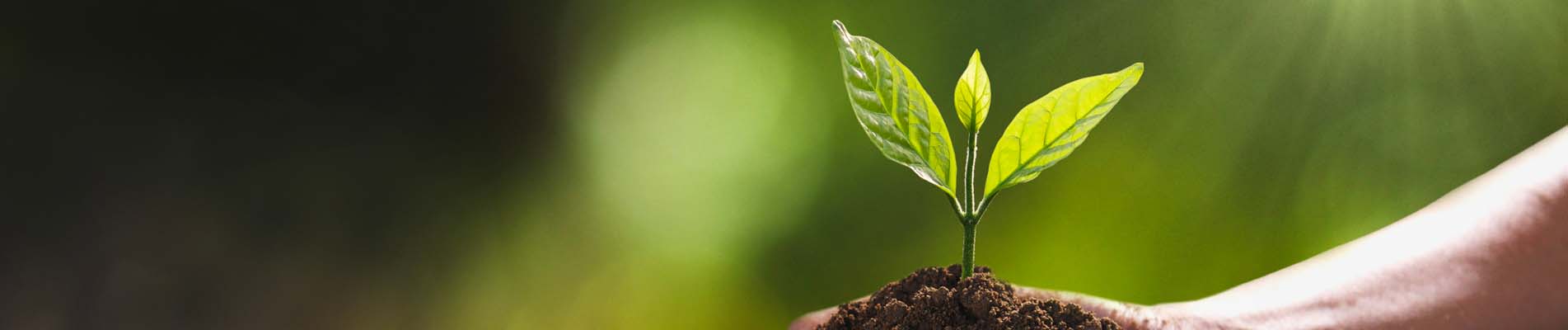 Evergreen Garden Care - Ons verhaal over duurzaam investeren