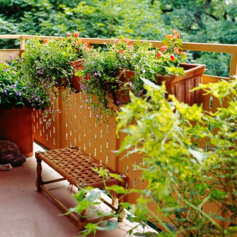 fleurir-balcon-urbain_10.jpg null