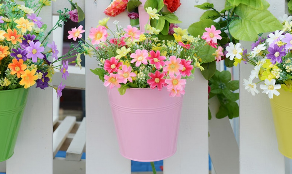 Vaso de exterior: plantar, semear
