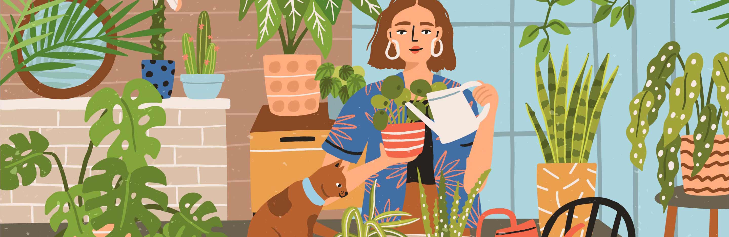 Garden Trends Instagram - Garden Inspiration | Evergreen Garden Care