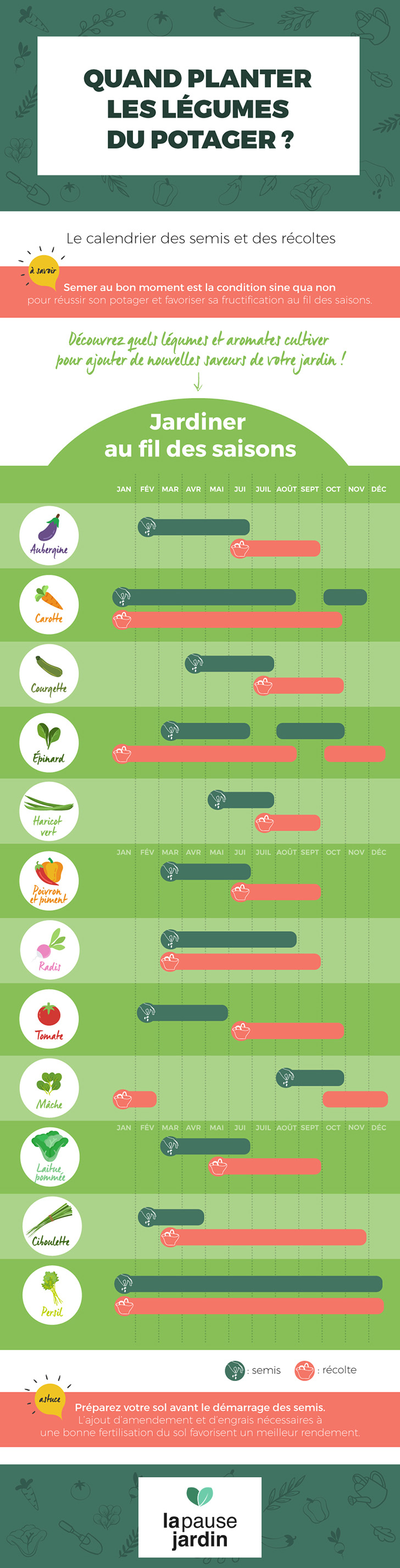 infographie-calendrier-semis-legumes-jardin-potager.jpg calendrier semis légumes