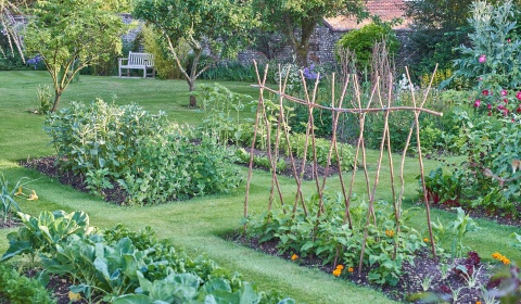 jardin_partage2.pg_.jpg null