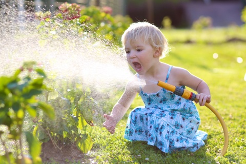 jardinier_debutant_1.jpg null