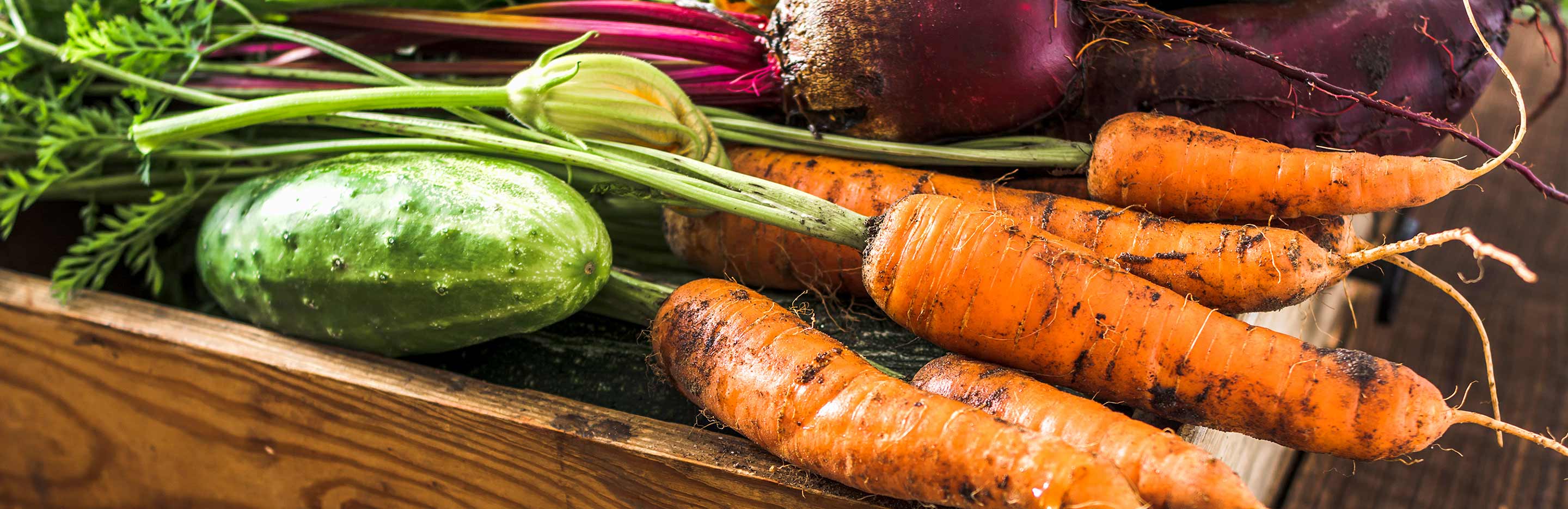 June planting and harvesting guide